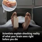 6 Signs That the Spirit of a Deceased Person Is With You 👻