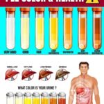 Just 2 Drops in Your Ear Could Transform the Way You Hear – Discover the Simple Secret Many People Are Talking About…