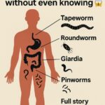 After 70 Years, This Common Mistake Can Ruin Your Circulation — And Most People Don’t Even Realize It 🚶‍♂️🩸