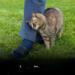 If you’ve ever seen this on your jeans, you’re not alone! Read the reasons in the first comment… See more