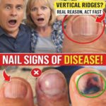 Nature’s Secret Elixir to Heal 17 Health Issues Naturally — Discover the Power of This Ancient Remedy…