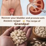 It Strengthens Your Vision and Cleanses Your Eyes from the Inside — Few People Know This…