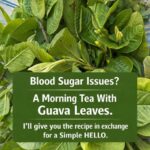 Rosemary and Cloves: The Secret Natural Remedy No One Will Ever Tell You – Try It and Thank Me Later…