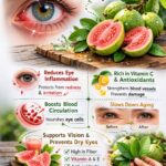 Unlocking Nature’s Secret: How Euphorbia hirta Supports Everyday Eye Comfort 👀