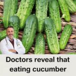 9 Foods to Supercharge Your Lungs and Breathe Freely in Just 3 Days…