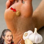Your Ultimate Guide to Nature’s Healing Powerhouse— How These Ancient Remedies Boost Health Naturally…
