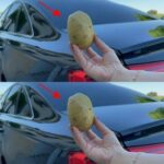 How Eating an Apple Daily May Affect Your Health…