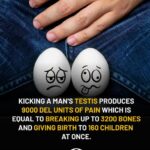 MY ADVICE TO YOUNG MEN – READ THIS BEFORE LIFE BREAKS YOU! 👇