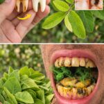 If You Suffer from Blurred Vision, Cataracts, Glaucoma, Migraines, or Memory Problems, You Should Start Drinking This Juice Today…