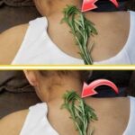 If Your Wife’s Underwear Has Such Stains, You Should Know That…