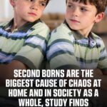 Study Suggests Cheaters May Score Lower in Intelligence —