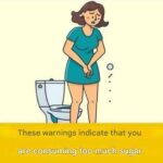 Top 5 Oils That Flush Gut Waste & Melt Stubborn Fat (Try Tonight)
