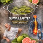 If You Suffer from Blurred Vision, Cataracts, Glaucoma, Migraines, or Memory Problems, You Should Start Drinking This Juice Today…