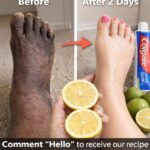 🌿 Most People Have No Idea How Powerful the Root of This Plant Is…