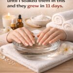Top 3 Ways to Treat Tooth Decay Naturally with Guava Leaves – Dentists Are Surprised by This Traditional Remedy…