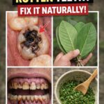 Struggling With Weak, Breaking Nails? This Simple Natural Recipe May Help Your Nails Grow Longer and Stronger…