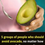 Boost Your Kidney Health Naturally With These Simple Herbs 🌿…