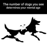 thank me later