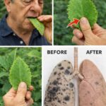 Say Goodbye to Plantar Warts with Garlic and Simple Home Ingredients ✨ …